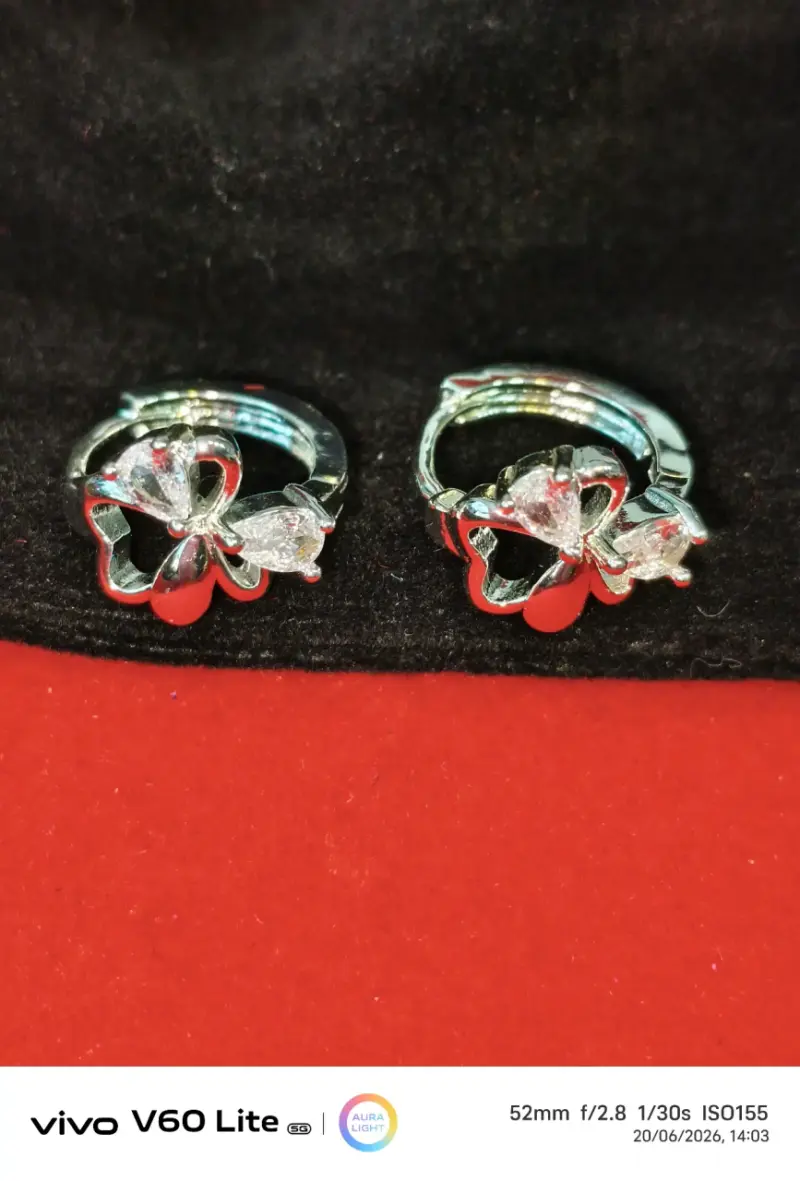 Aros de plata 925 mariposa con brillo - 1