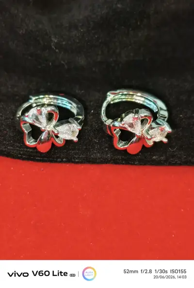 Aros de plata 925 mariposa con brillo - miniatura 1