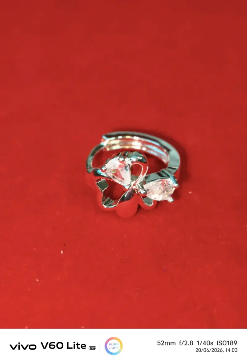 Aros de plata 925 mariposa con brillo - 2