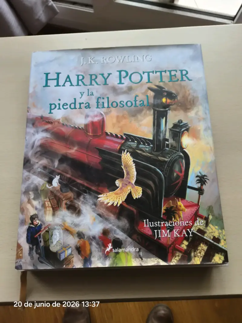 Harry Potter y la piedra filosofal ilustrado - 1
