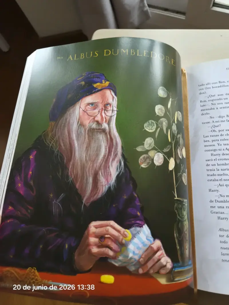 Harry Potter y la piedra filosofal ilustrado - 2