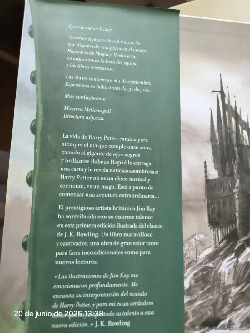 Harry Potter y la piedra filosofal ilustrado - 4