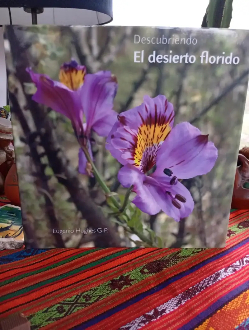 Libro Descubriendo El Desierto Florido - 1