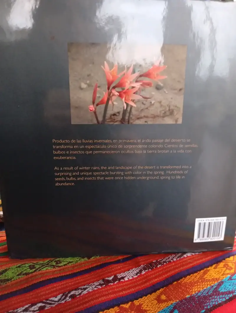 Libro Descubriendo El Desierto Florido - 6