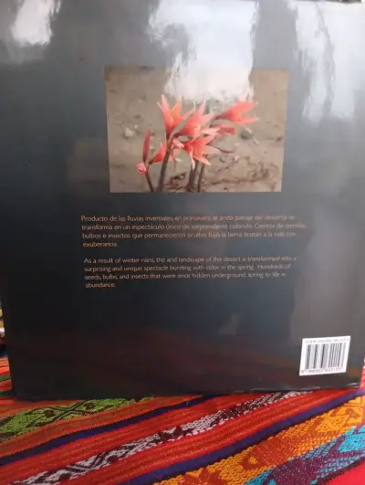Libro Descubriendo El Desierto Florido - miniatura 6