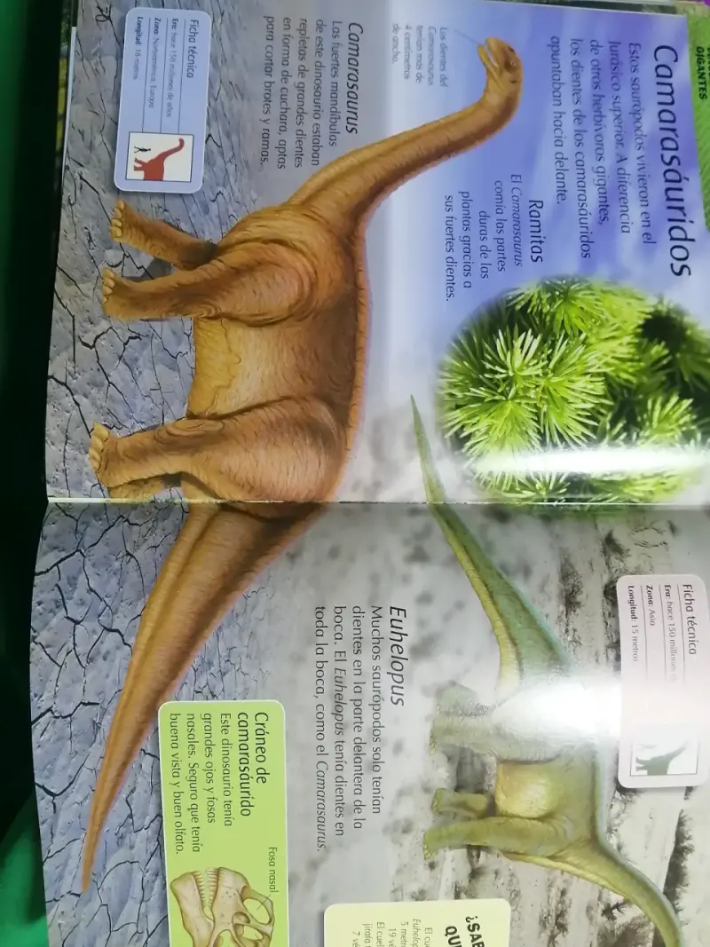 Enciclopedia de dinosaurios para niños - 2