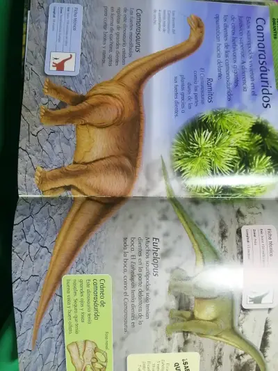 Enciclopedia de dinosaurios para niños - miniatura 2