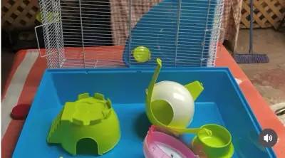Jaula para mascotas pequeñas  multifuncional - miniatura 4