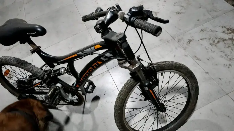 Bicicleta montaña Wolfer - 3
