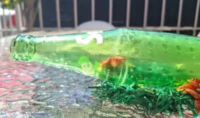 Botella Sprite 296 Cc Antigua Década 1980 S Peru - miniatura 4