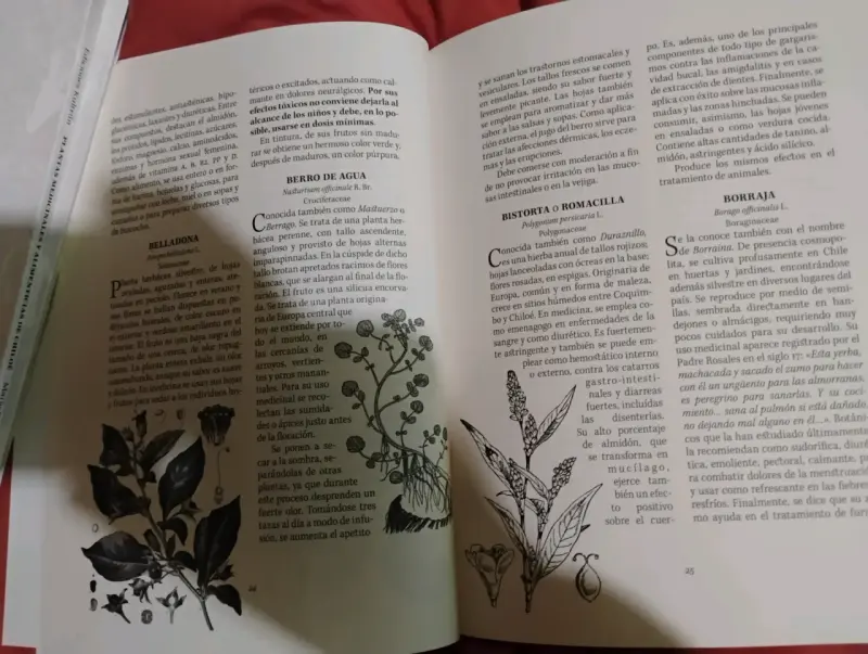 LIBRO " PLANTAS MEDICINALES Y ALIMENTICIAS DE CHIL - 6