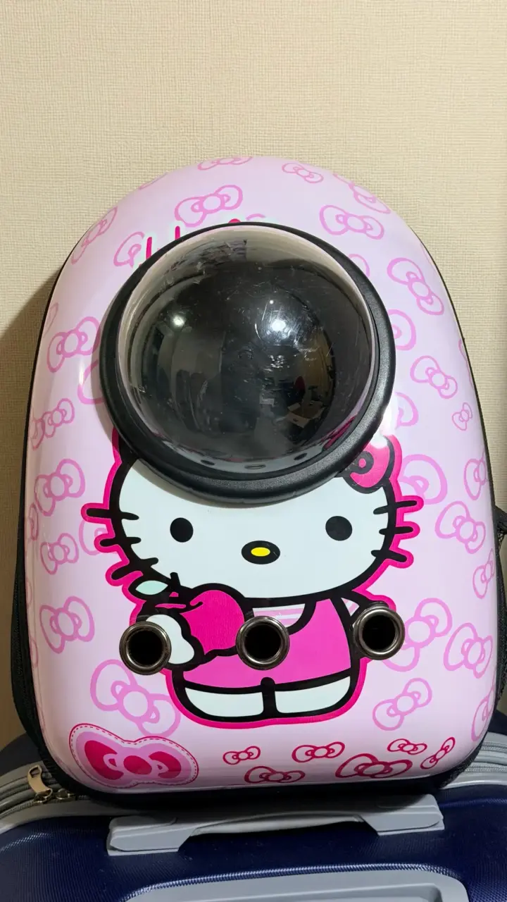 Mochila transportadora Hello Kitty - 1