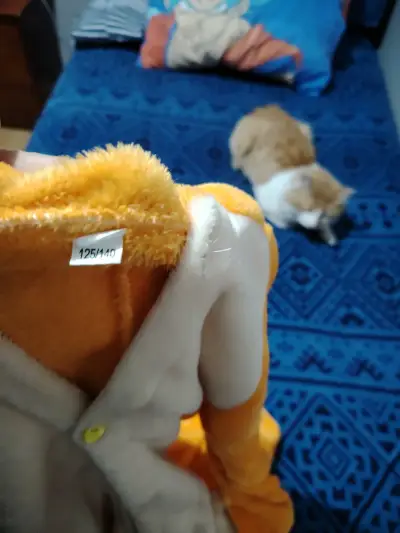 Pijama entero charmander - miniatura 3
