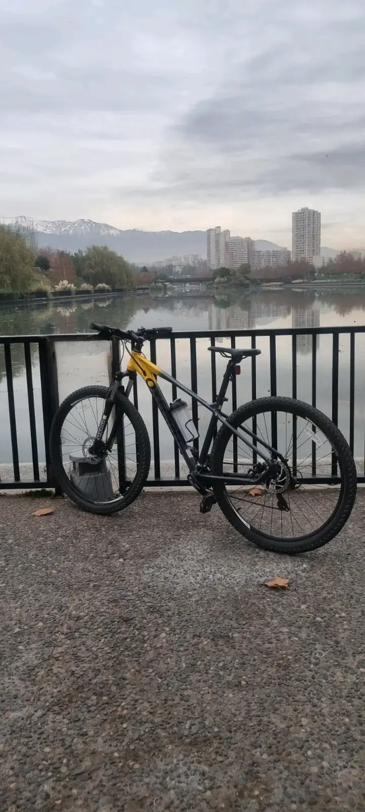 Bicicleta de montaña Oxford Orion 4 Aro 29