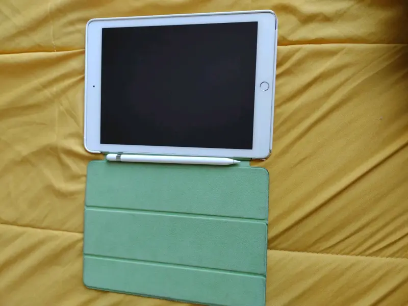 iPad pro 9.7 - 1