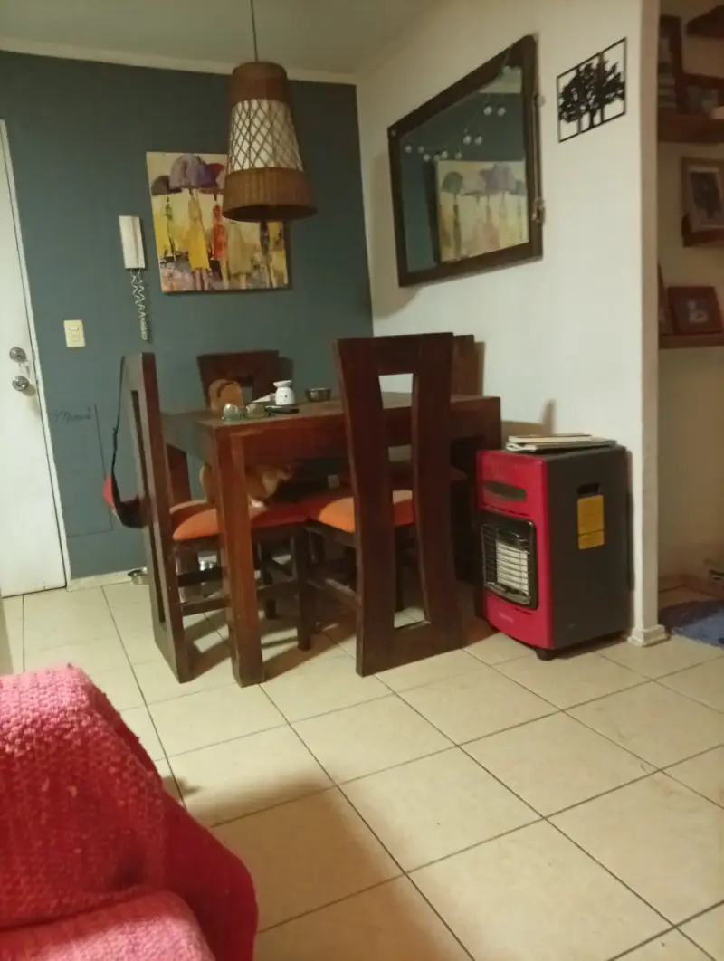 Conjunto comedor madera NATIVA 4 sillas - 1