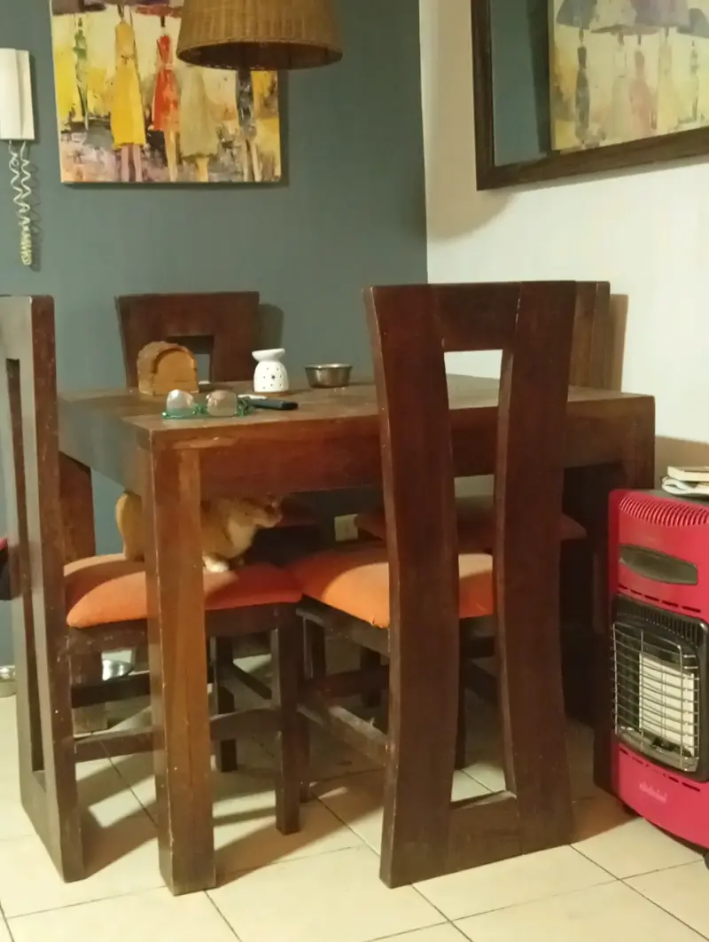 Conjunto comedor madera NATIVA 4 sillas - 2
