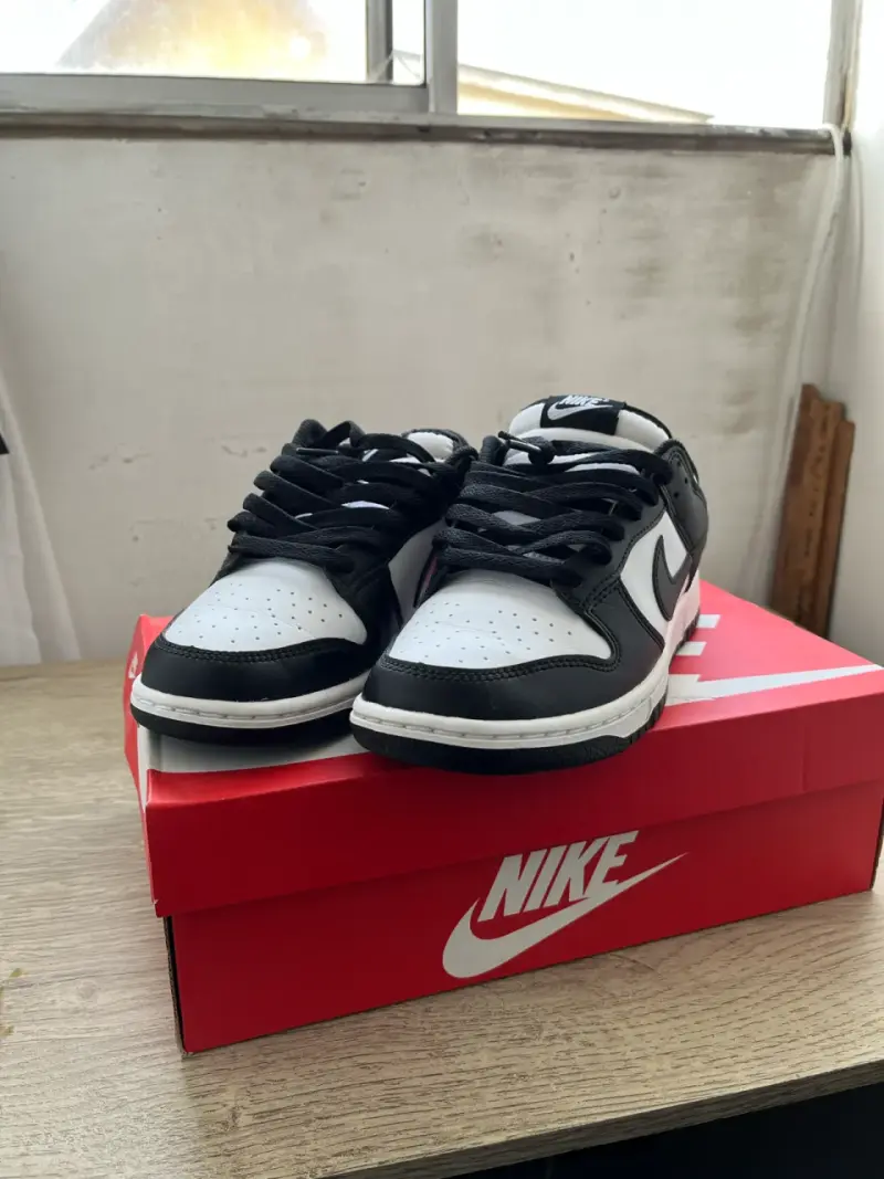 Zapatillas Nike Dunk Low Retro - 6