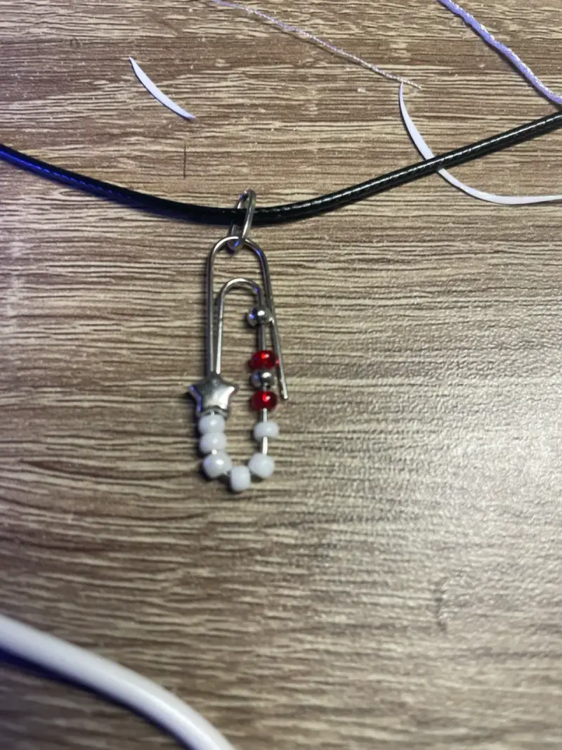 Encargo accesorios - 5