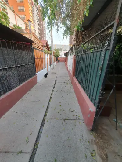Propiedad en venta en ñuñoa - miniatura 2