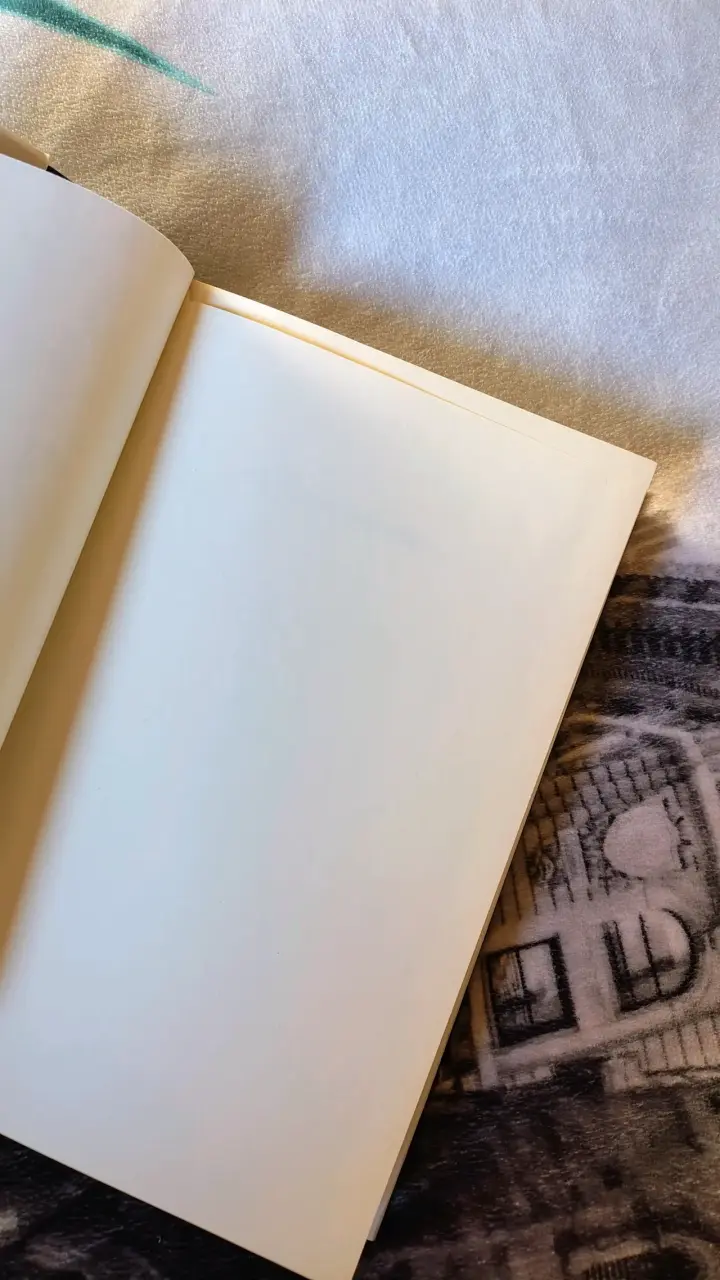 Libro 'El puente de Clay' - 3