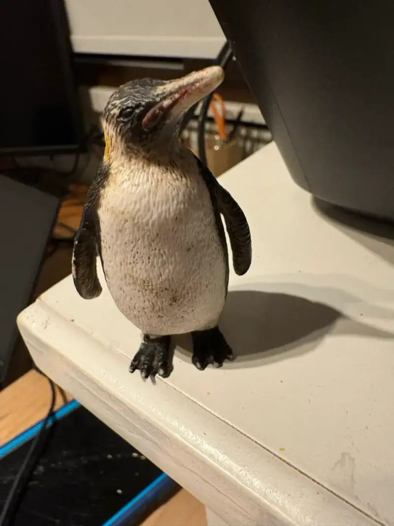 Set de figuras de animales de alta calidad - 2