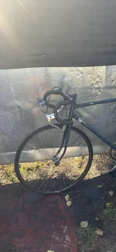 Bicicleta de ruta vintage - miniatura 2
