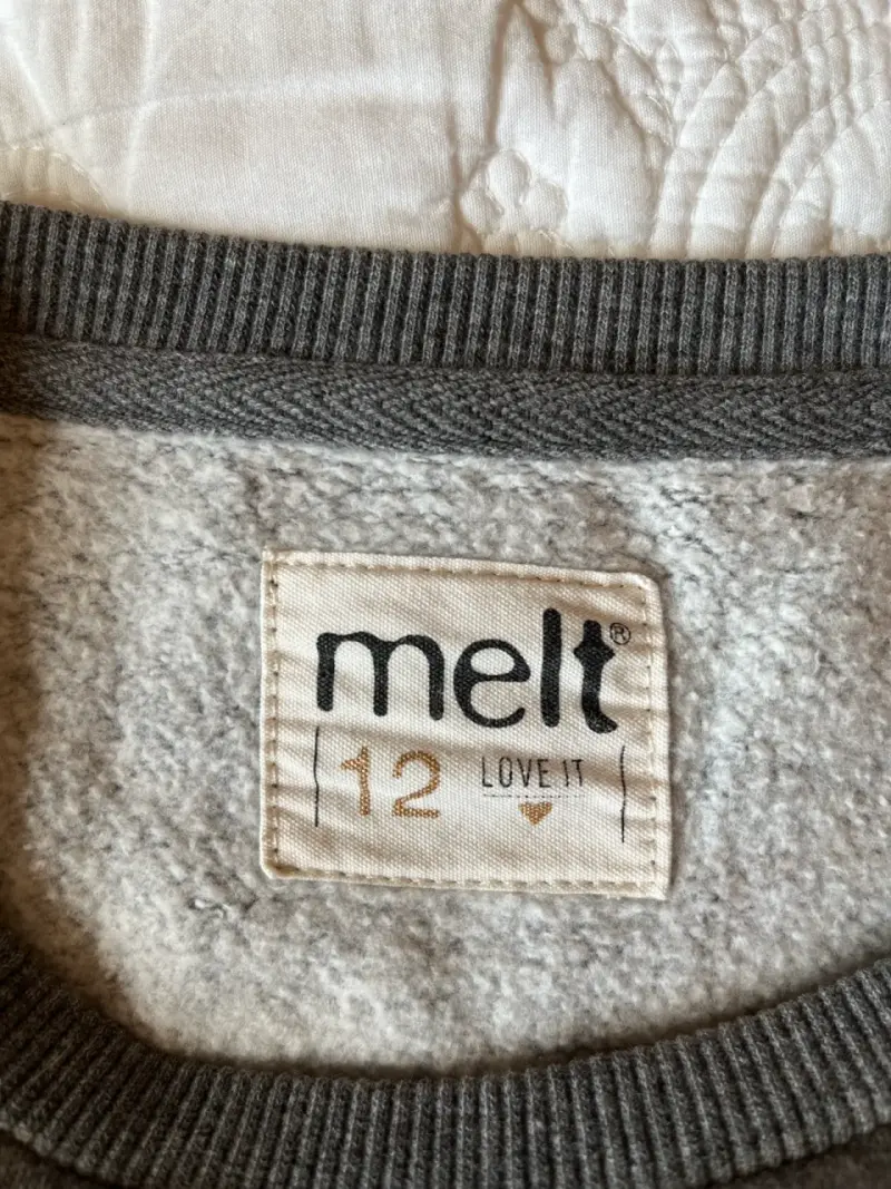 Polerón gris con diseño bordado - 2
