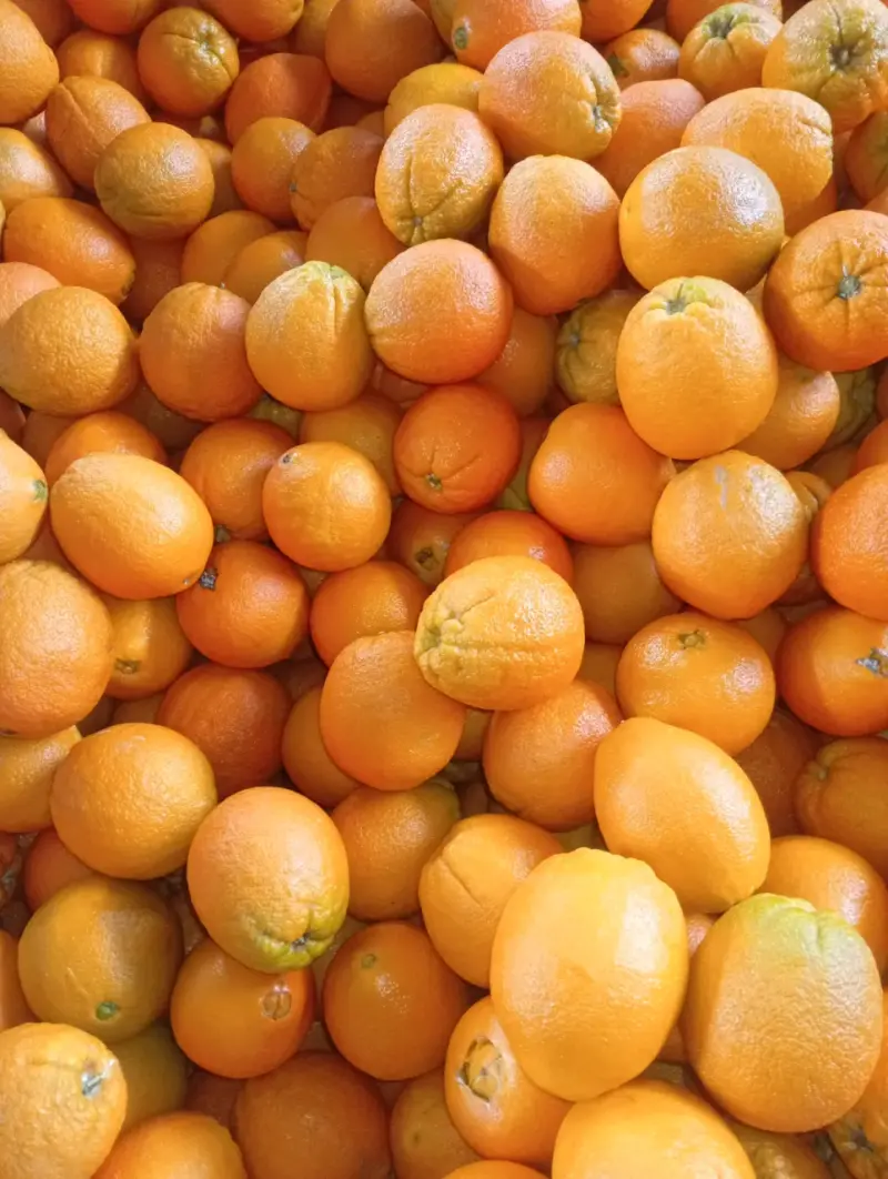 Naranja por Vin o - 1