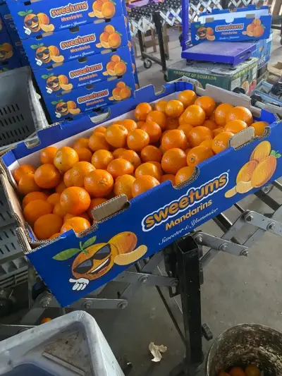 Naranja por Vin o - miniatura 3