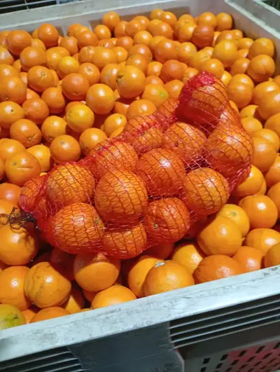 Naranja por Vin o - miniatura 4