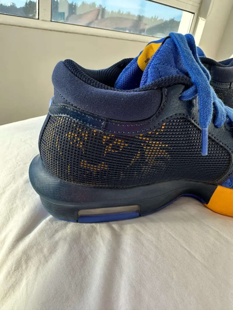 Zapatillas de básquetbol LeBron James US8 - 6