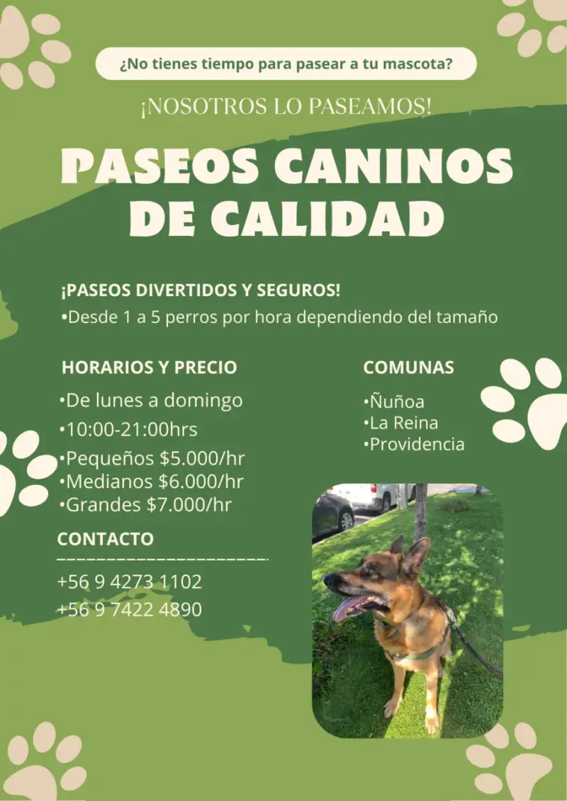 PASEOS DE MASCOTAS