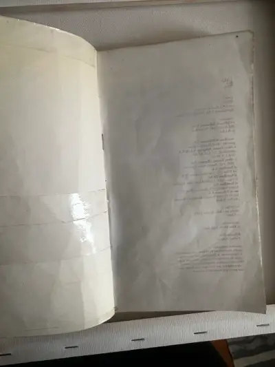 Libro 'Los mejores amigos' usado - miniatura 5