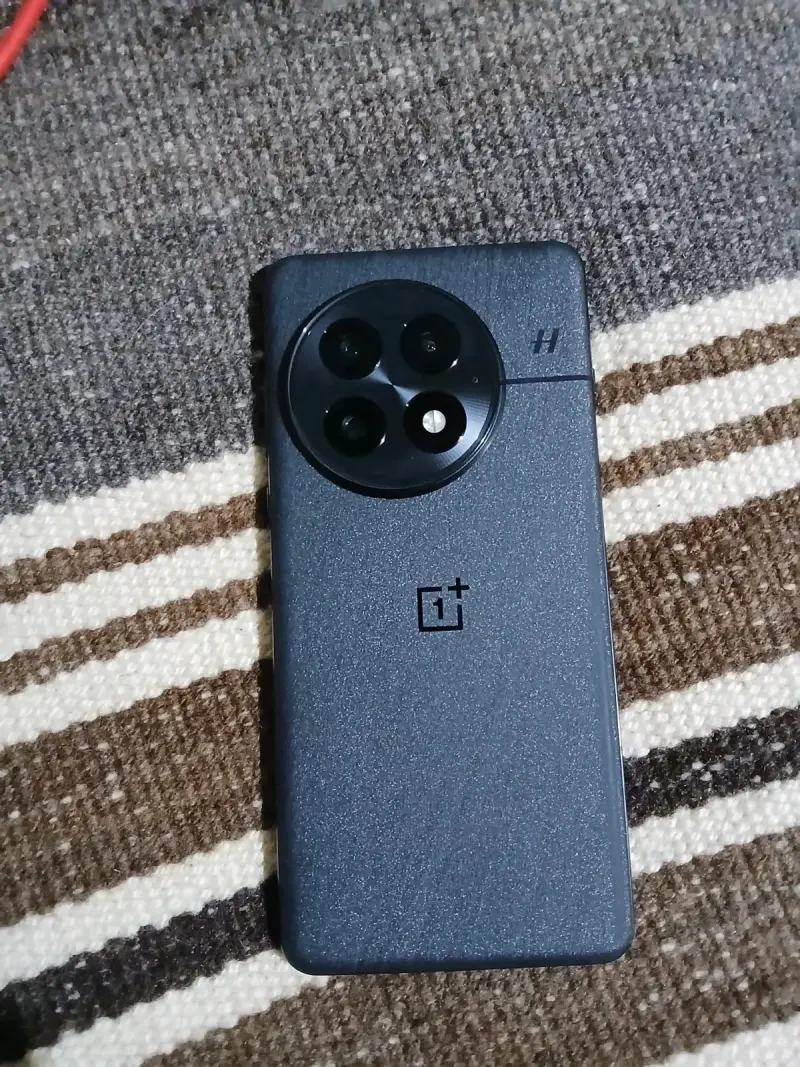 OnePlus 13 CN 12/256 - 2
