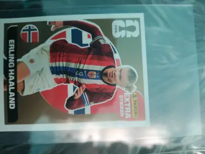 Lámina extra panini 2026 - miniatura 1