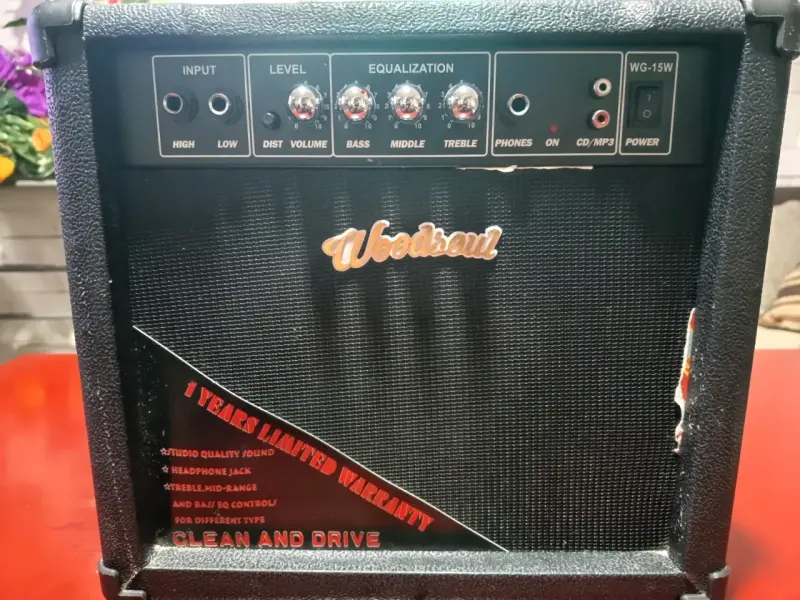 Amplificador Woodsoul 20W - 1