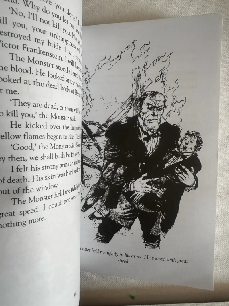 Libro Frankenstein - 4