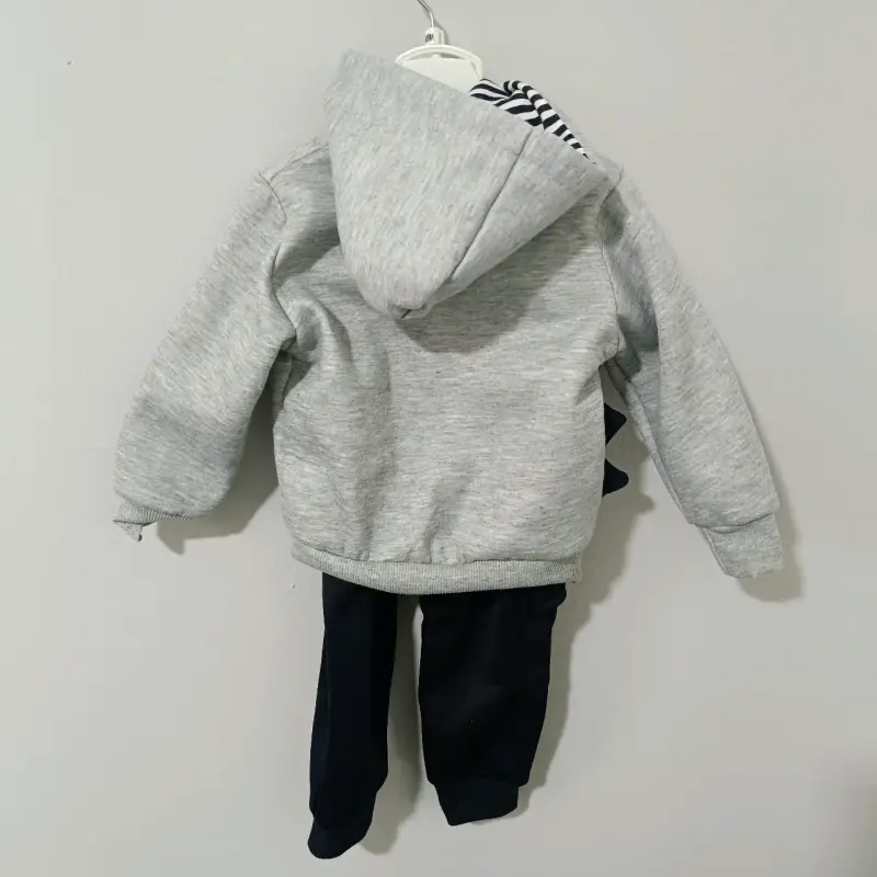 Conjunto infantil dinosaurio gris - 2