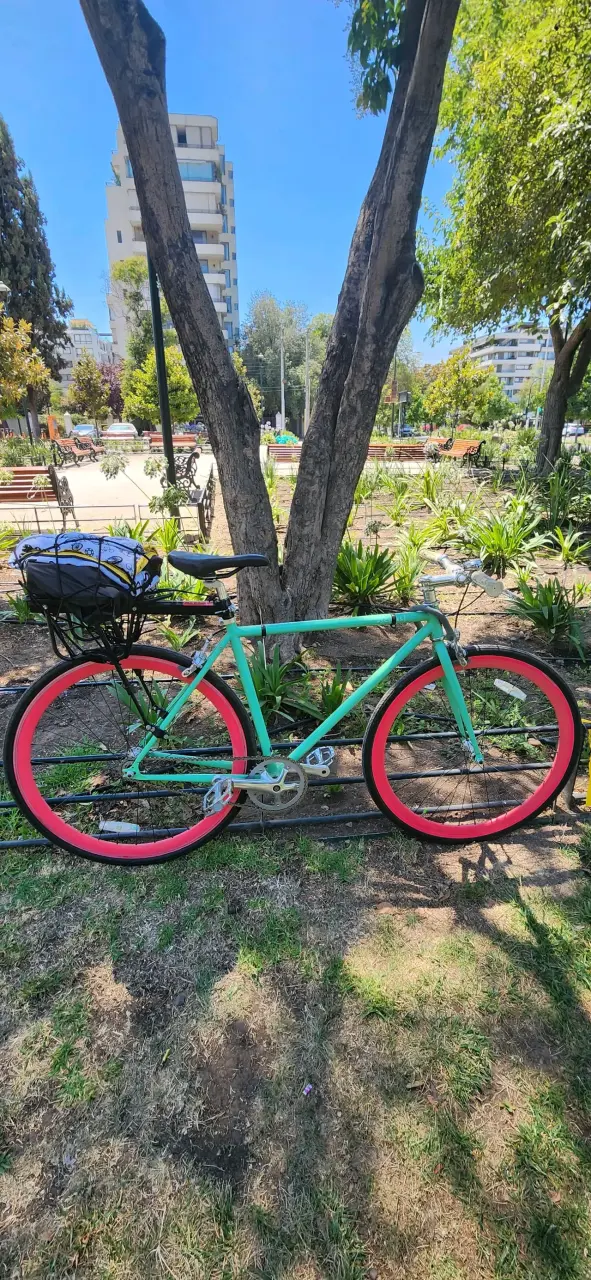 Bicicleta Fixi verde retro con parrilla