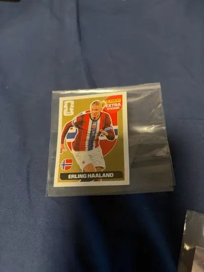 stickers panini del mundial - miniatura 2