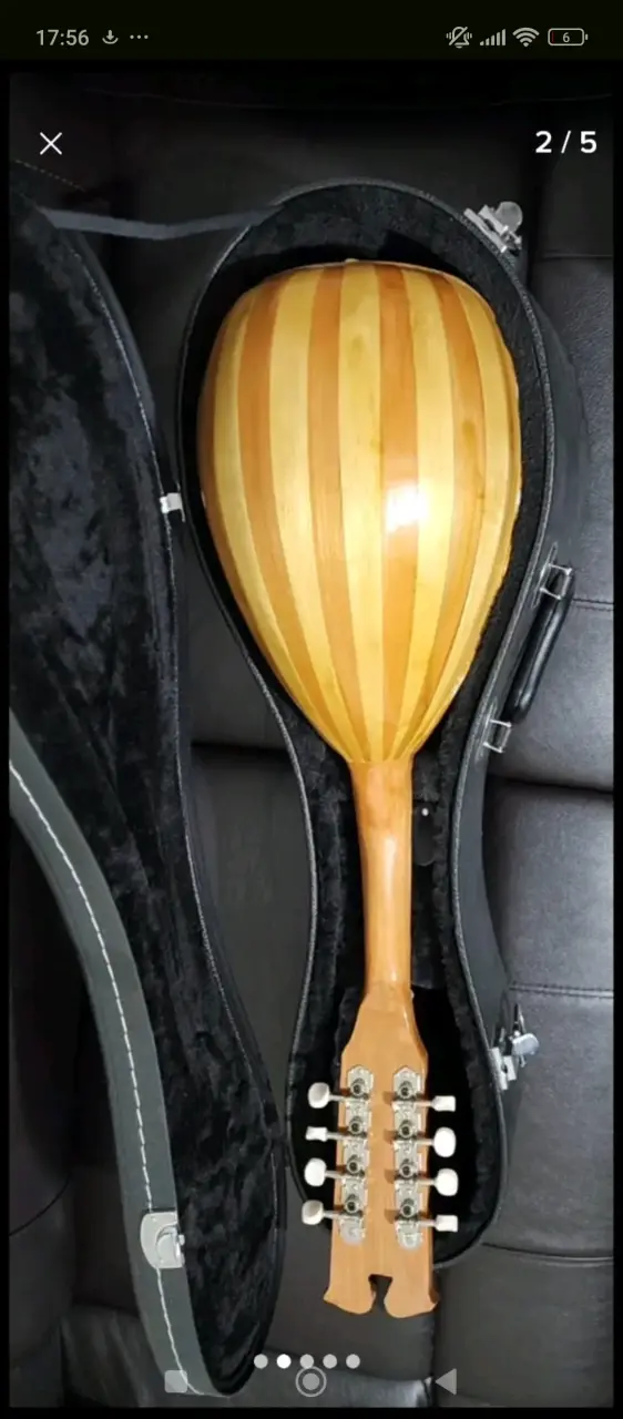 Mandolina napolitana electroacústica con estuche - 2