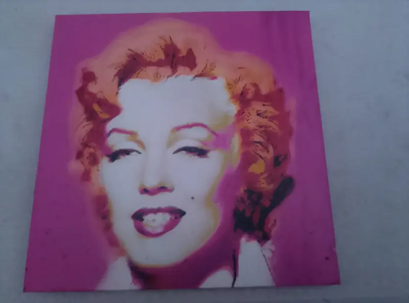 Cuadro tipo pop art rosa