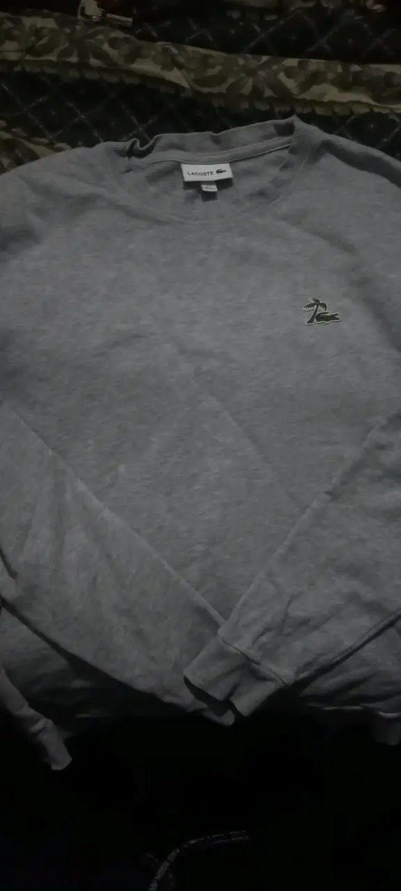 Polerón gris con logo bordado - 3