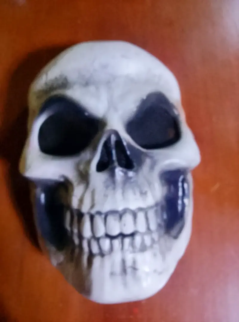Máscara de calavera decorativa
