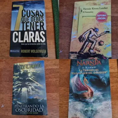 Colección de 4 libros variados - miniatura 1