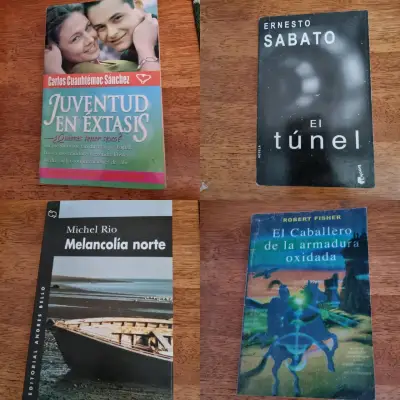 Colección de 4 libros variados - miniatura 2