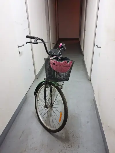 Bicicleta verde con casco - miniatura 1