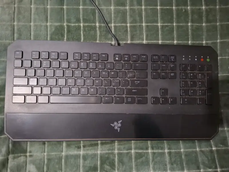 Teclado Gamer Razer DeathStalker Essential