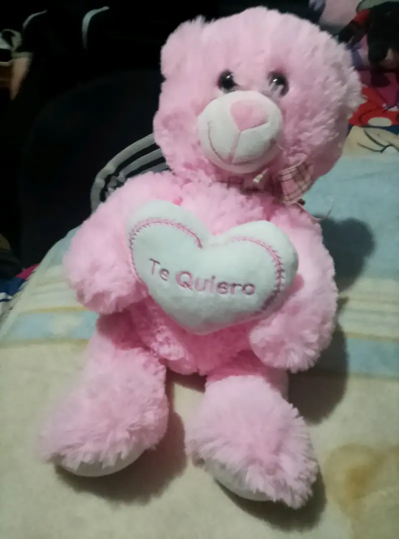 Osito de peluche rosa